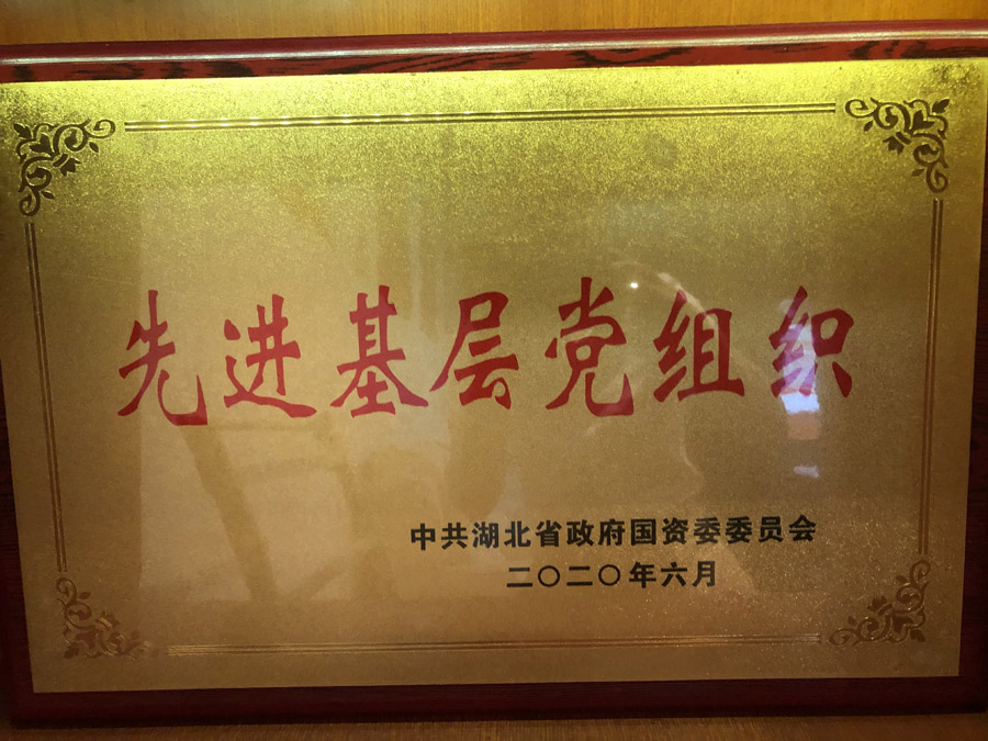 2020年6月，被省國資委評為“先進(jìn)基層黨組織”